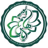 هاشم پور یاس